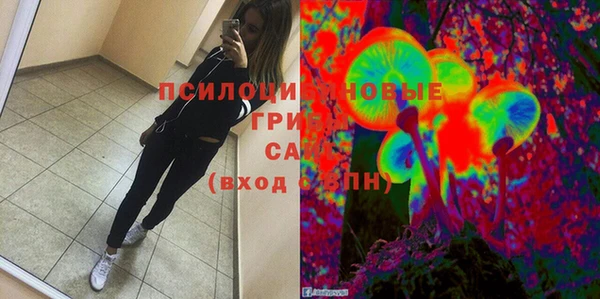 мяу мяу мука Гусь-Хрустальный