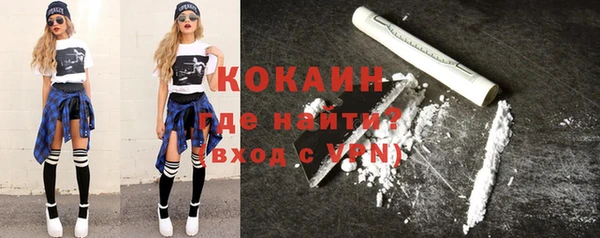мяу мяу мука Гусь-Хрустальный