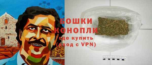 мяу мяу мука Гусь-Хрустальный