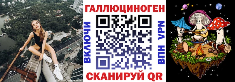 закладка Стерлитамак Псилоцибиновые грибы GOLDEN TEACHER